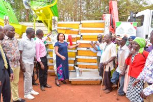 Profitable Businesses to Start in Kirinyaga