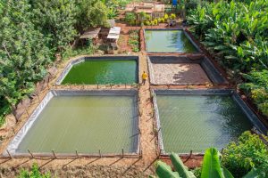 Profitable Businesses to Start in Kirinyaga