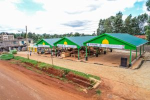 Profitable Businesses to Start in Kirinyaga