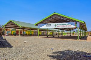 Profitable Businesses to Start in Kirinyaga
