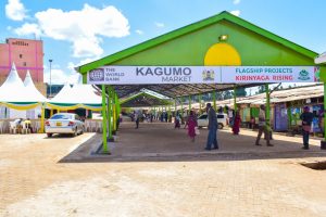 Profitable Businesses to Start in Kirinyaga